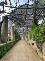 Bummel durch die Allee der Unendlichkeit ...