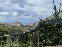 Wandern vorbei an Zitronengärten