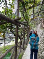 Besuch einer Zitronenplantage ...