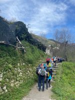 vorbei an Zitronenhainen