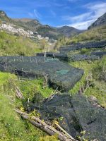 Zitronenhaine überall ...