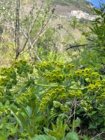 Foto 18.04.22, 10 23 55.jpg