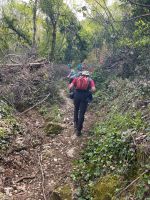 bis auf 800 Höhenmeter