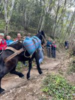 Tierische Wegbegleiter