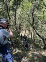 Über Stock und Stein ...