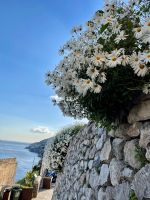 Traumhafte Fauna an der Amalfiküste