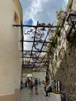 Positano im Blauregen