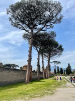 Besuch der antiken Stadt Pompeji