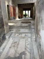 Gut erhaltene Mosaikböden