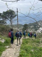 Abstieg vom Monte Solaro