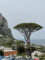 Insel Capri