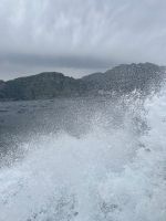 ... manchmal leider auch sehr stürmisch