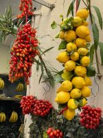 Wandern durch die Straßen von Neapel