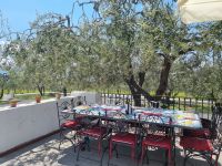 Cantina (Weingut) del Vesuvio