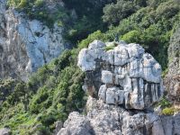 Insel Capri - Bronzestatue eines Jungen, der so genannte 