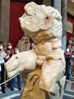 Der Torso von Belvedere