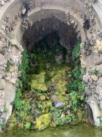 „Nachahmung der Natur“