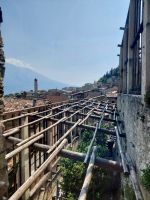 Nachtrag zum Zitronengarten von Limone