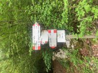 heute gehts zum Tennosee