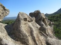 024 gähnender Affe ?.JPG