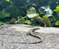 Tag 2 - Wegbegleiter.jpg