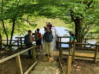 Apulien, Gargano, Foresta Umbra