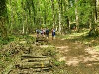 Apulien, Gargano, Foresta Umbra