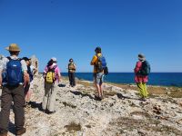 Apulien, Gargano, Nordküstenwanderung