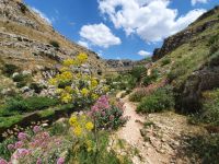 Basilikata, Wanderung durch die Gravina Schlucht nach Matera