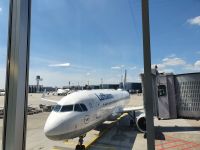 Heimflug, Flughafen Frankfurt