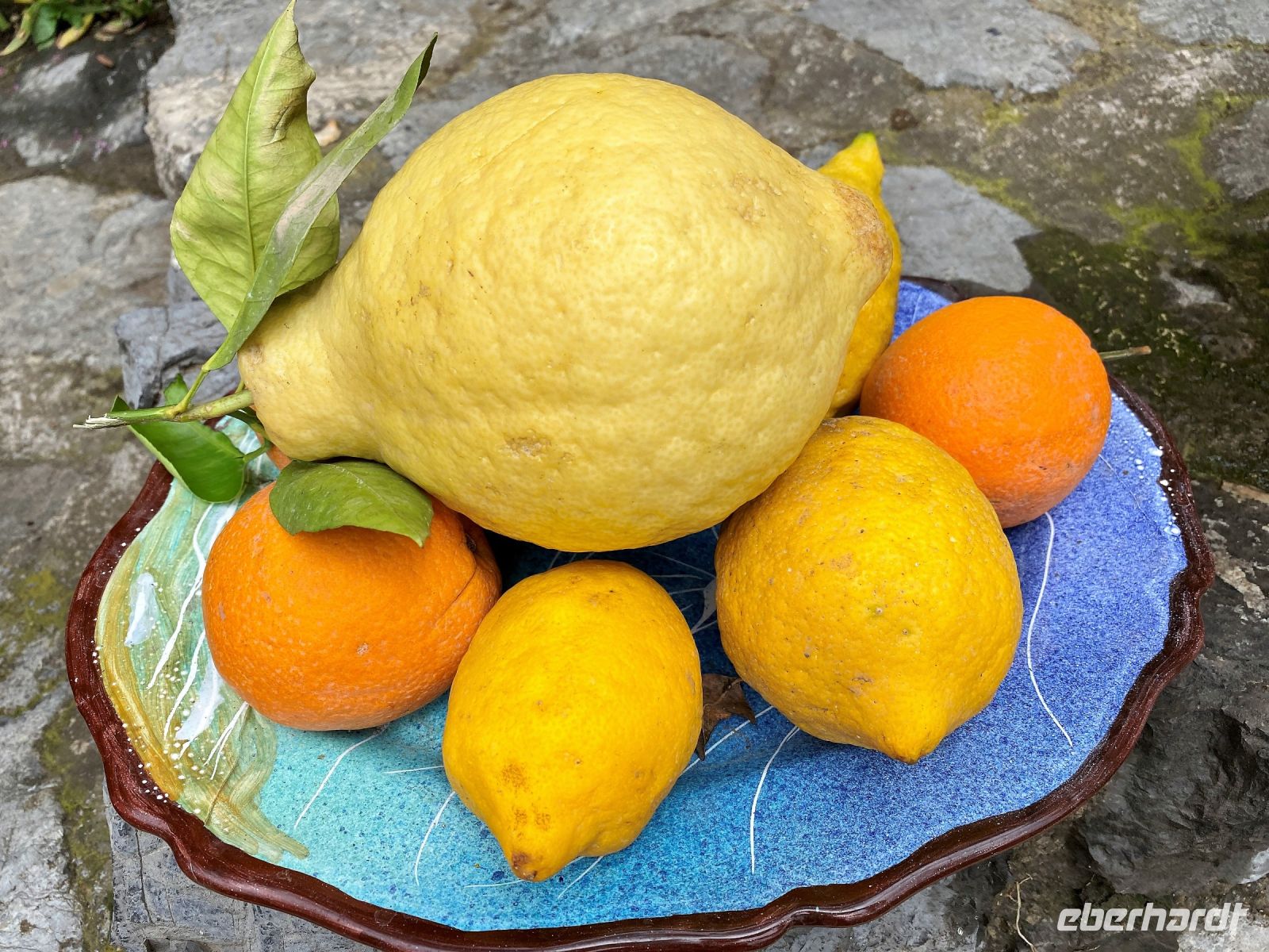 Tag 3 - Groß gegen Klein.jpg