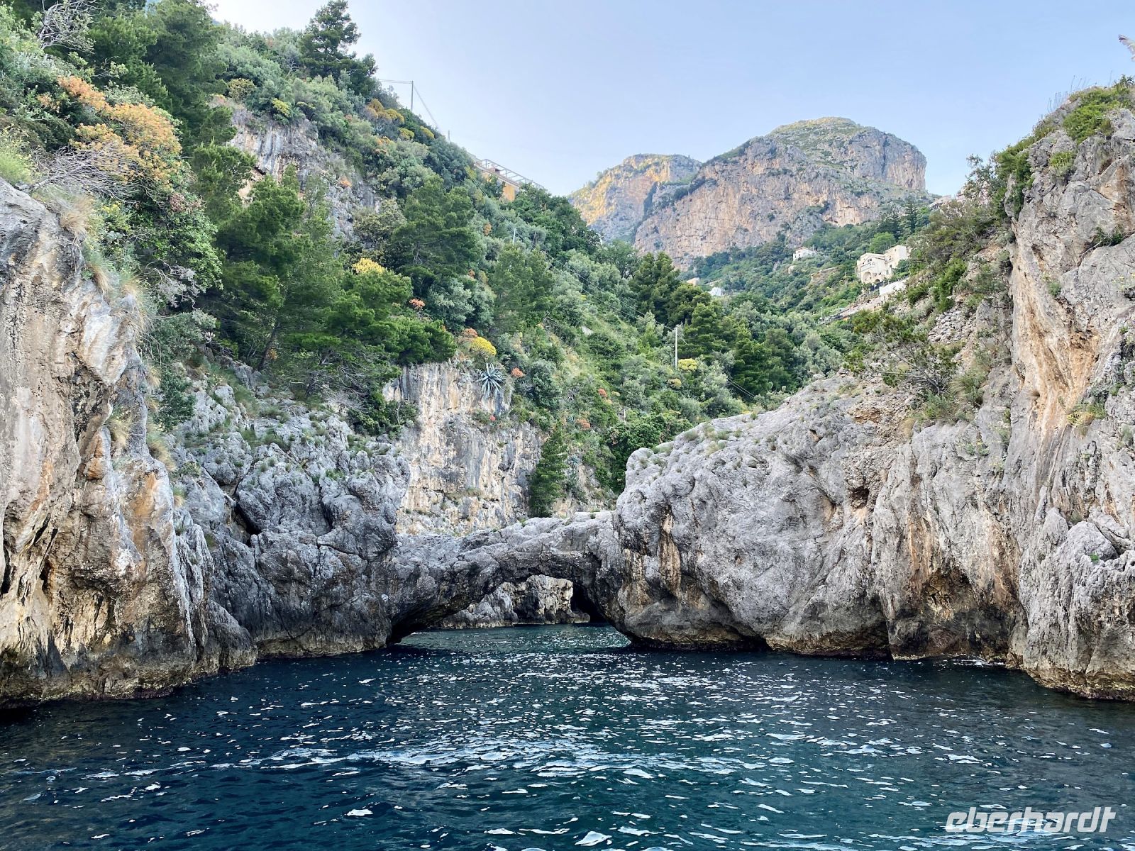 Tag 3 - Elefantenrüssel.jpg