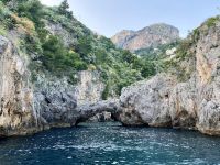 Tag 3 - Elefantenrüssel.jpg