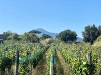 Tag 4 - Vesuv in der Ferne.jpg