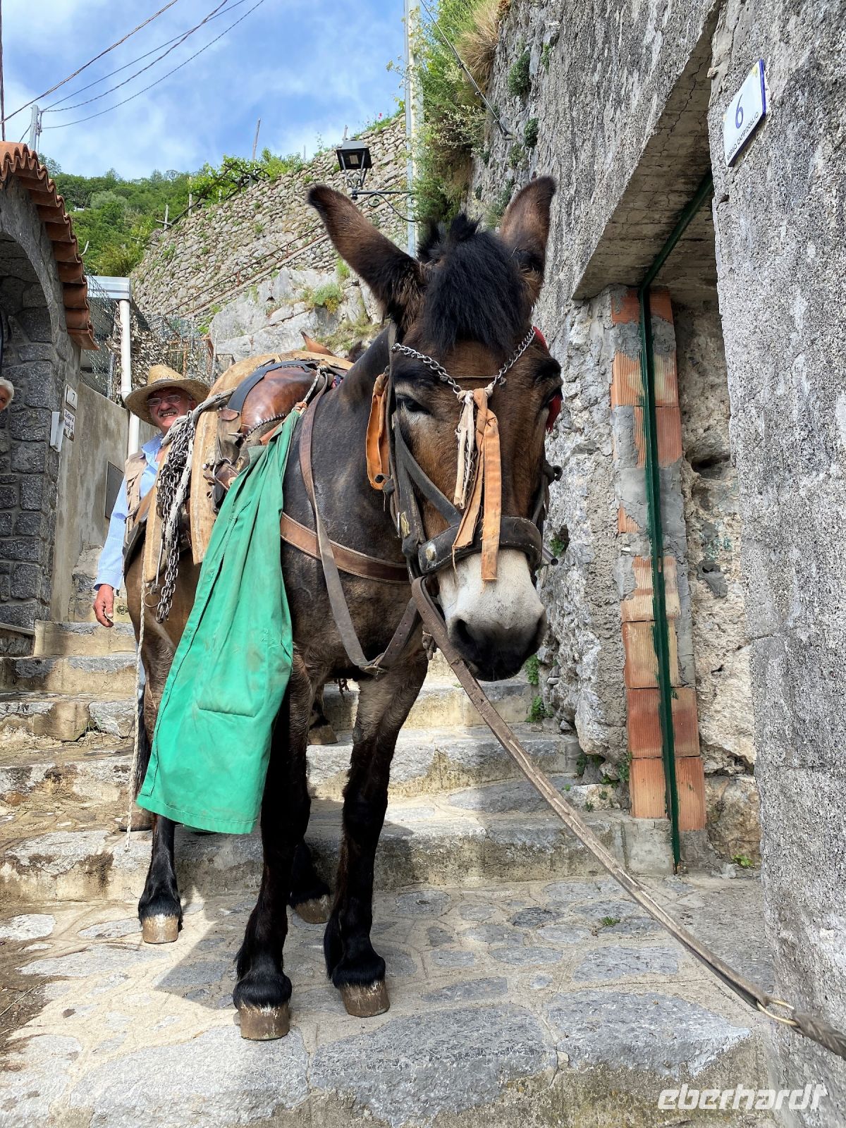 Tag 5 - Gegenverkehr auf unserem Weg.jpg