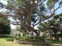 068 Garibaldi Museum Caprera.JPG