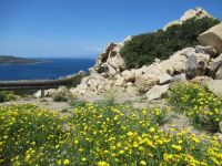 086 La Maddalena.JPG