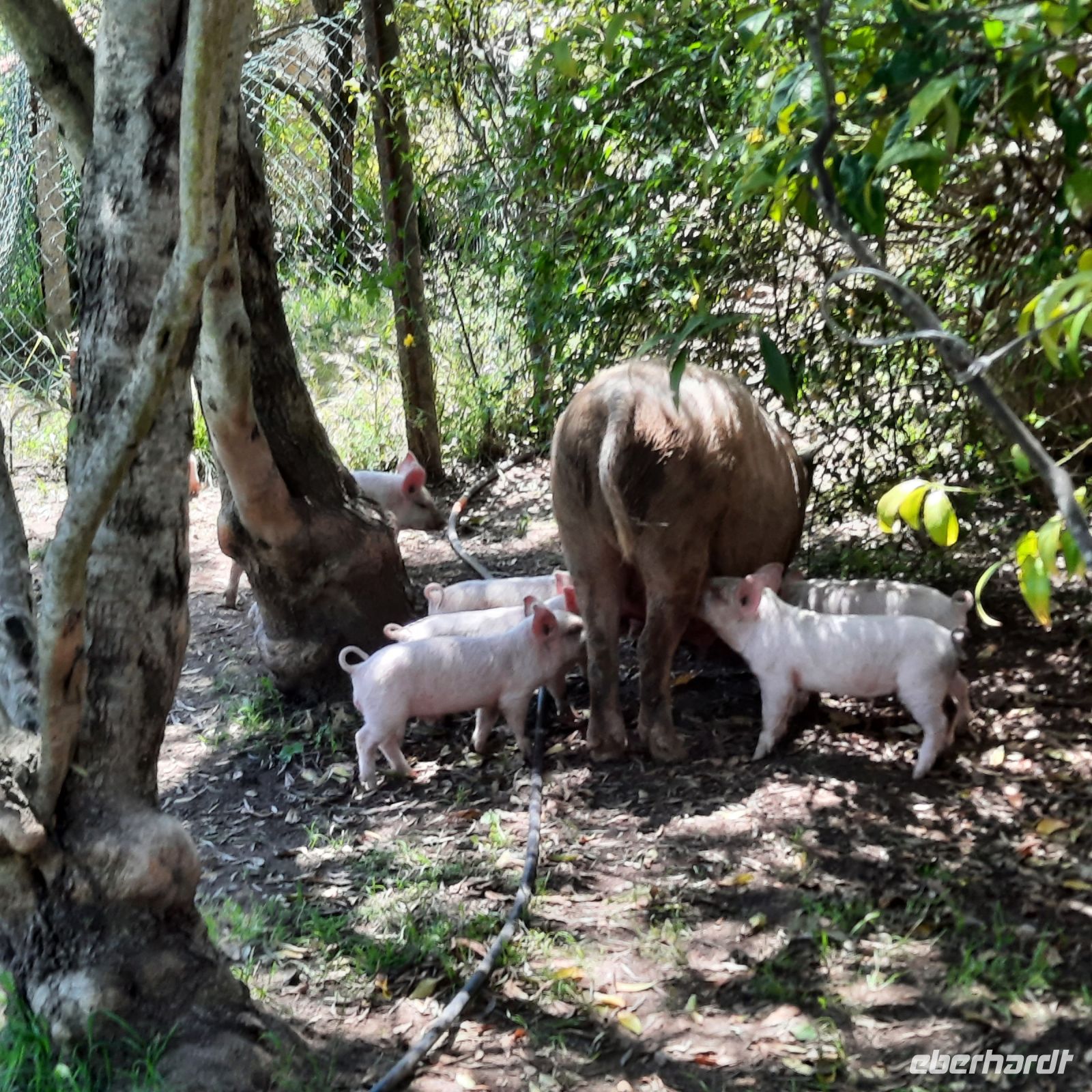 107 Besuch eines Agrarhofes.jpg