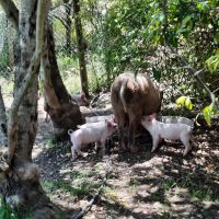 107 Besuch eines Agrarhofes.jpg