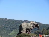 012 Fotostopp am Elefanten.JPG