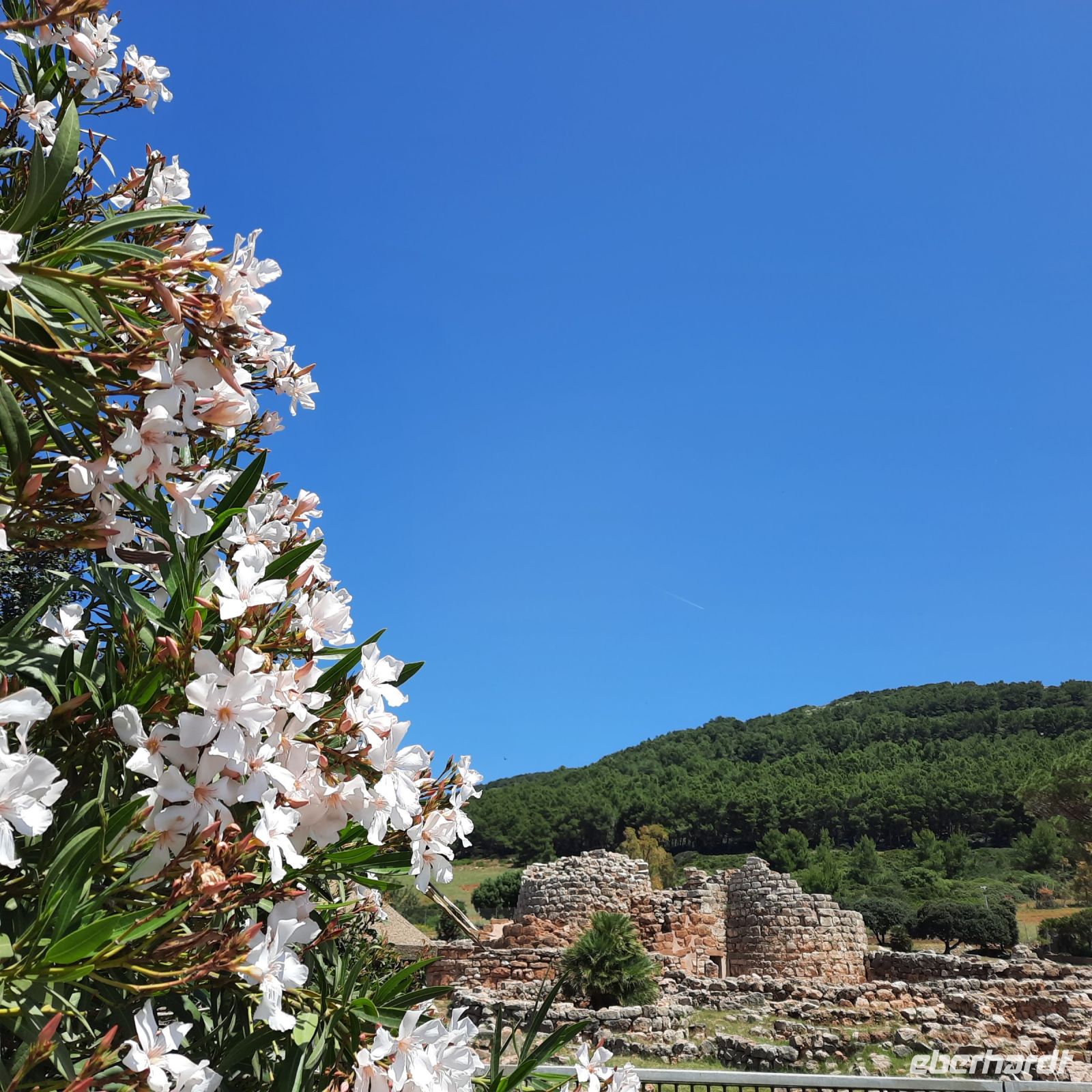 178 Nuraghe Palmavera.jpg