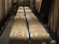 184 Weingut Sella&Mosca.JPG