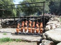 282 Hirtenessen Orgosolo.JPG