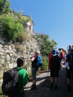 immer wieder wertvolle Erzählungen von Vinzenzo über die Pflanzen