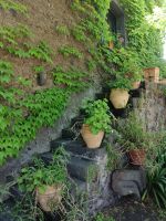 nette Umgebung bei der Weinverkostung