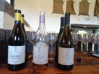 die Unvergesslichen Drei