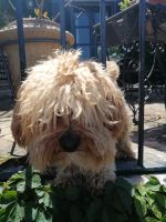 lustige Verabschiedung von der Weinverkostung