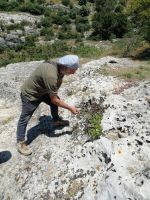 dazu noch die tolle Begleitung von Vincenzo