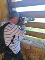 mit Vögel beobachten