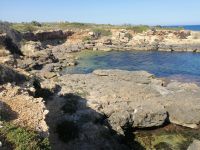 Blick Richtung Küste